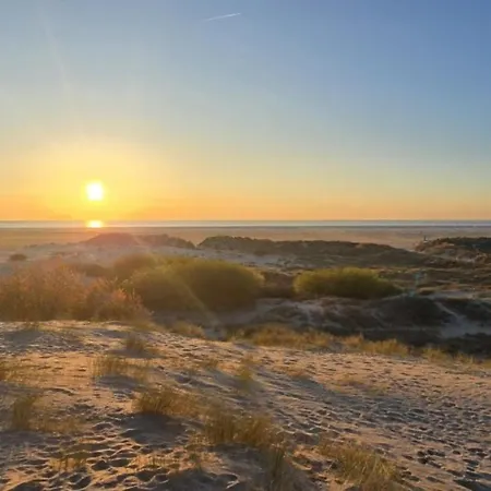 Seestern Apartamento Borkum